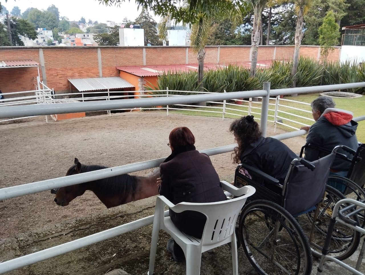 Recuperación post-ACV: por qué la rehabilitación continua hace la diferencia
