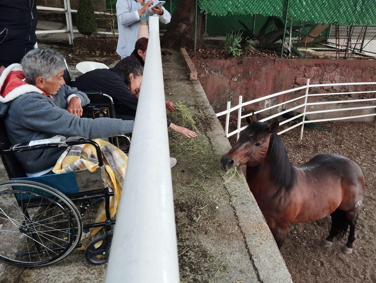 Residente con caballo