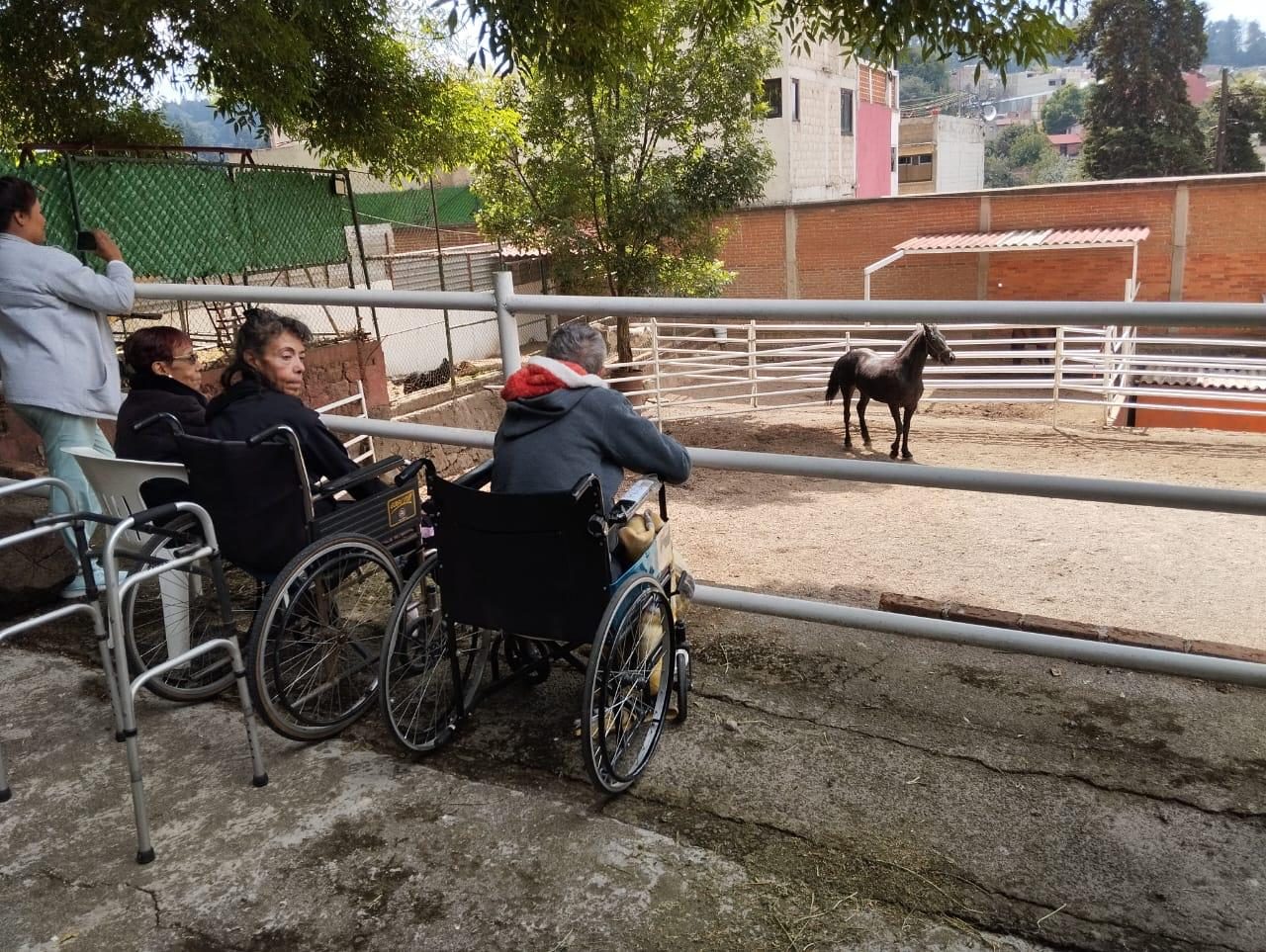 Parkinson: cómo la rehabilitación neurológica mejora la calidad de vida